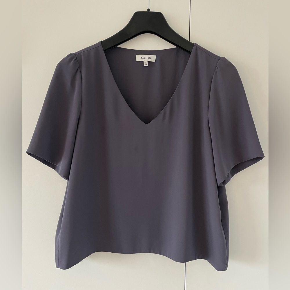 Aritzia Babaton Short Sleeve Top